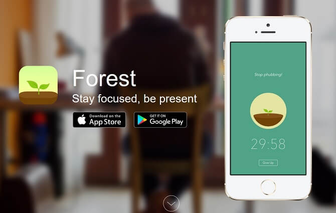 Forest Website Screenshot Tập làm văn lớp 5: Em hãy kể một kỉ niệm khó quên về tình bạn