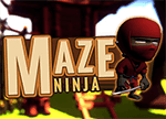 Maze Ninja