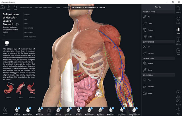 Atlas giải phẫu cơ thể người 3D - Complete Anatomy 19