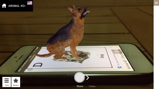 Animal 4D+ là sản phẩm thú vị nhất của công nghệ thực tế ảo. Với sự kết hợp của ảnh thật, âm thanh và hình ảnh động vật 3D, bạn sẽ cảm nhận được những trải nghiệm khó quên khi mỗi chú vật của bạn nổi lên trước mắt.