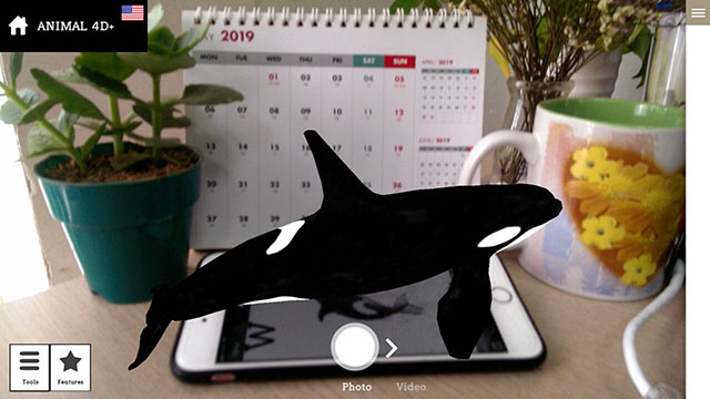 4D whale image on phone screen