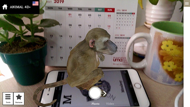 4D monkey on phone screen