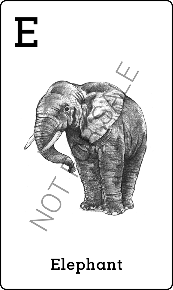 4D animal tag image to scan - Elephant