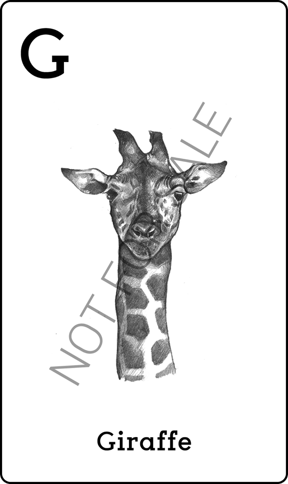 Tag image 4D animals to scan - Giraffe