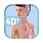 Humanoid 4D+ cho iOS