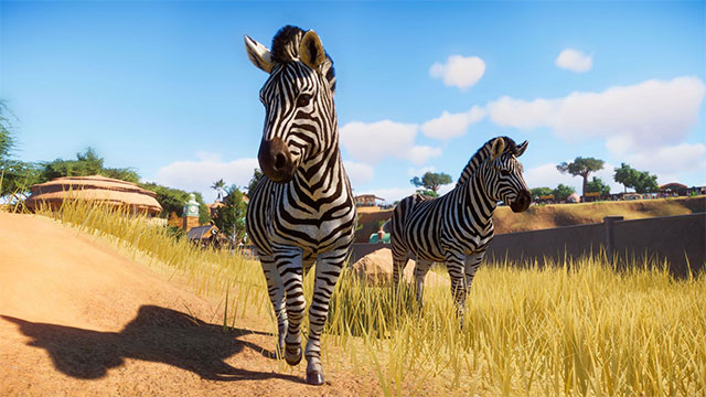 Quản lý khu bảo tồn rộng lớn trong game Planet Zoo