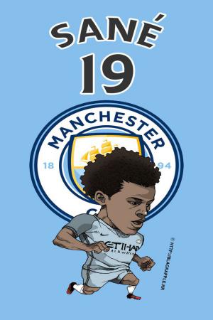Manchester City wallpapers for phones 44