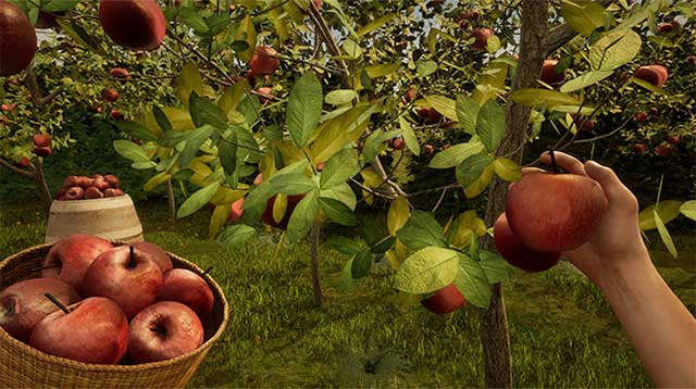 Thu hoạch trái cây tươi ngon, bán ra thị trường và tiếp tục mở rộng trang trại Orchard Simulator 