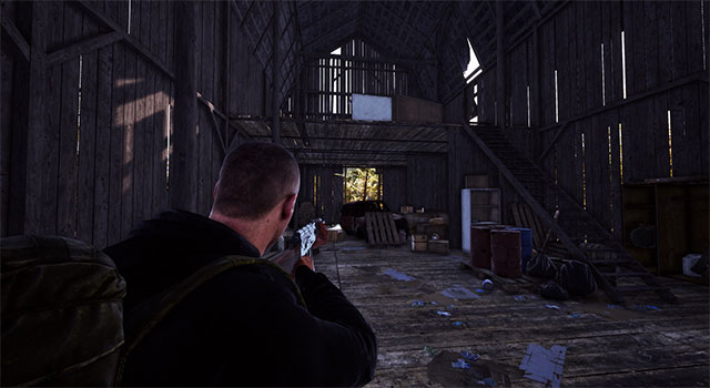 Gameplay mixes survival and first-person shooter elements. 