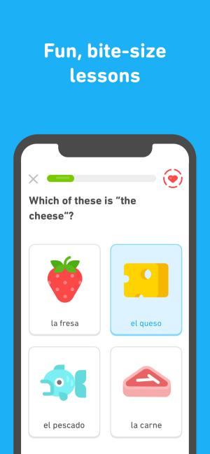 Duolingo has fun, little lessons