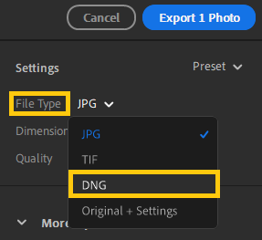 Trong màn hình Export, chọn DNG làm loại file