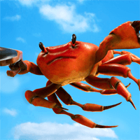 Cover Image of Crab Champions