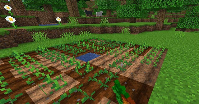 Replanting Crops Mod là mod tự động hóa làm farm trong Minecraft