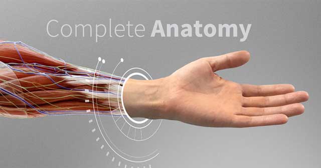 Complete Anatomy 2022 - Atlas giải phẫu cơ thể 3D kèm tài liệu học tập