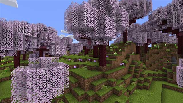 Sakura Forest Mod sẽ bổ sung một rừng hoa anh đào trong thế giới Minecraft