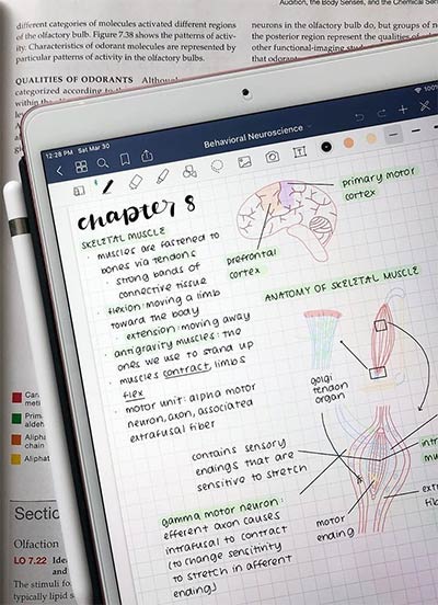 GoodNotes year is perfect for work, study and personal life