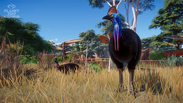 Các loài vật trong Planet Zoo mang thông tin di truyền về màu sắc và hình dáng