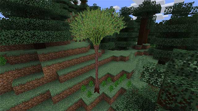 More Plants Mod 1 bổ sung vào thế giới Minecraft nhiều loài cây độc đáo