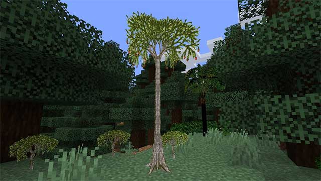 Mod More Plants bổ sung tất cả 9 loại cây mới vào Minecraft 