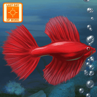 Fish Tycoon cho Android