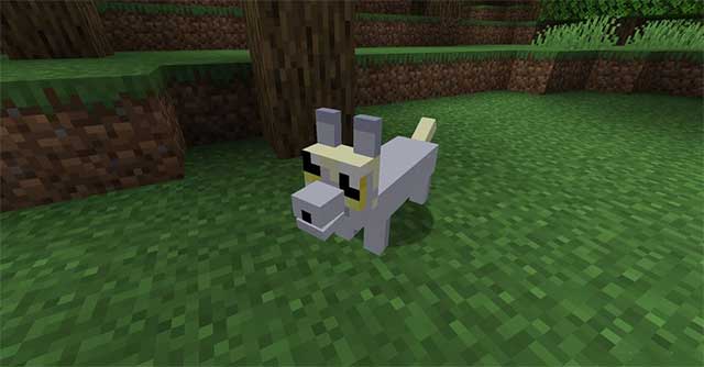 Tải ngay Mod Corgis để cùng chú chó đáng yêu của bạn khám phá Minecraft