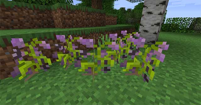 Meds and Herbs Mod sẽ bổ sung vào Minecraft vô số cây thuốc và loại thuốc đa dạng