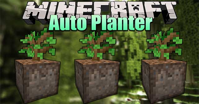 Auto Planter Mod cho phép bạn trồng cây tự động trong thế giới Minecraft