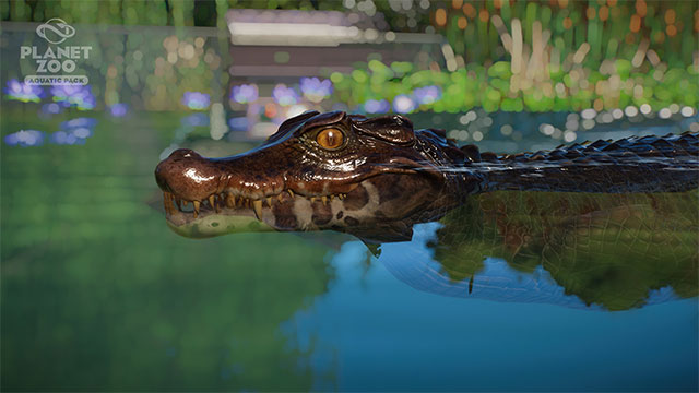 Khám phá câu chuyện về các loài vật trong Planet Zoo