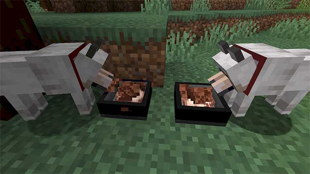 Improved Wolves Mod sẽ thêm bát ăn cho sói vào Minecraft