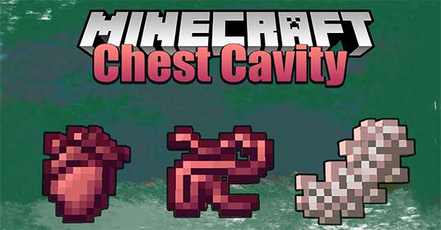 Chest Cavity Mod sẽ bổ sung vào Minecraft hệ thống lưu trữ là chính cơ thể bạn