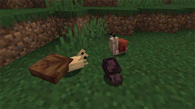 Fins and Tails Mod sẽ giới thiệu vào Minecraft rất nhiều thực thể chủ đề đại dương