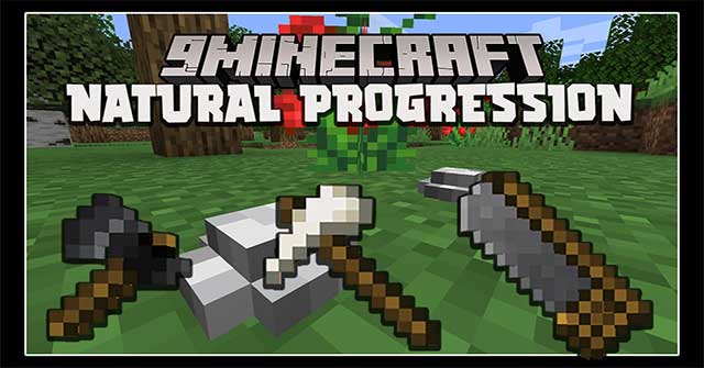 Natural Progression Mod 1.16.5 sẽ giới thiệu vào Minecraft một meta thời kỳ đầu