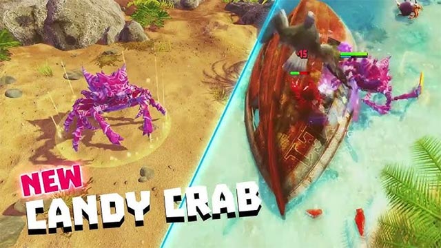 Candy Crab is the new warrior in the arena. King of Crabs