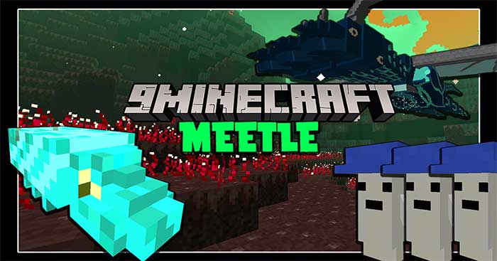 Meetle Mod 1.16.5 sẽ đưa vào Minecraft một chiều không gian mới lạ