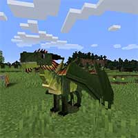 Dragons Survival Mod