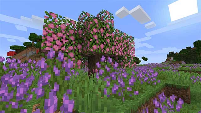 Abundance Mod 1.16.5 sẽ bổ sung vào Minecraft quần xã hoa oải hương