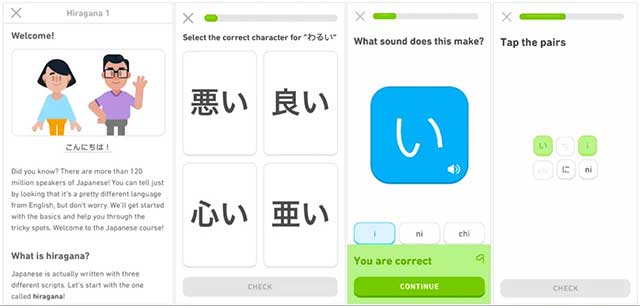 You can now learn Japanese on Duolingo