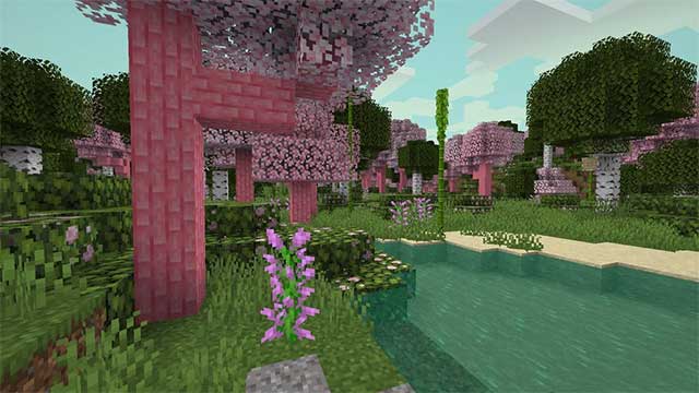 Mystic’s Biomes Mod 1.16.5 sẽ đưa vào Minecraft ba quần xã sinh vật độc đáo