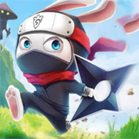 Ninja Rabbit Hero