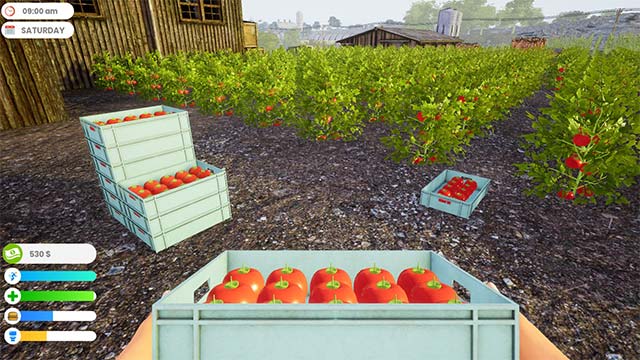 Growing and raising livestock in Farmer Life Simulator game
