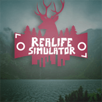 Realife Simulator