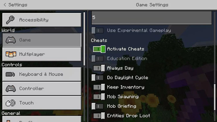 Enabling cheats allows players to experience many interesting things in Minecraft