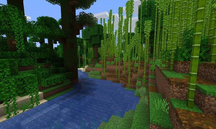 Rừng rậm là khu vực phong phú và phổ biến nhất trong Minecraft