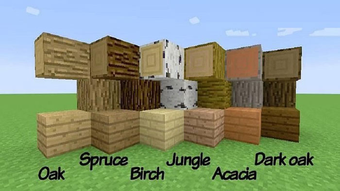 Trong Minecraft có rất nhiều loại gỗ để xây dựng