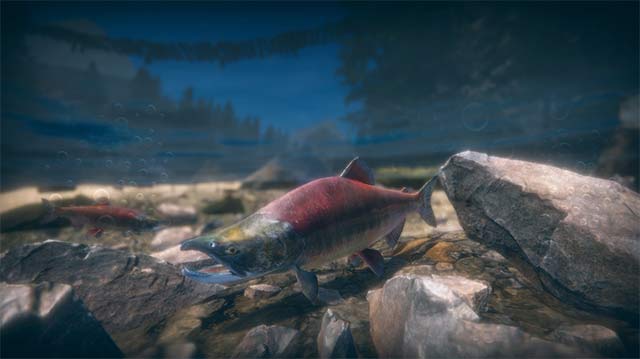 Each fish species in Ultimate Fishing Simulator 2 has different AI-controlled behavior