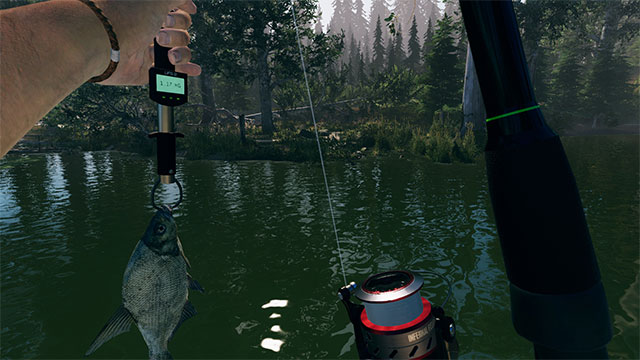 Show off your fishing techniques in different locations and challenges