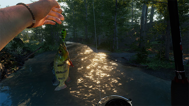 Ultimate Fishing Simulator II realistically simulates the fishing experience at multiple locations