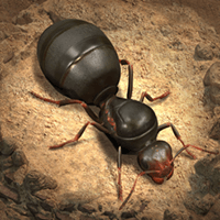 The Ants: Underground Kingdom cho iOS
