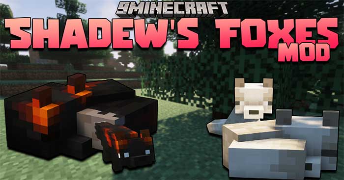 Shadew's Foxes Mod 1.17.1 sẽ đưa vào Minecraft vô số loài cáo mới