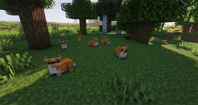 Ambient Additions Mod has now added more 14 animals into Minecraft